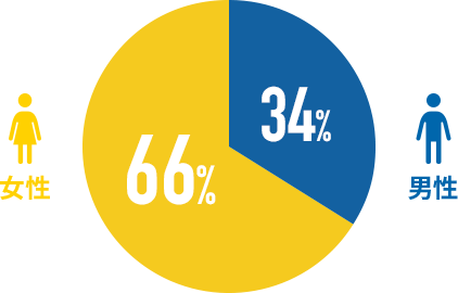 男性66% 女性34%